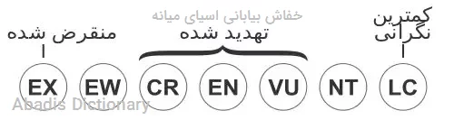 خفاش بیابانی اسیای میانه